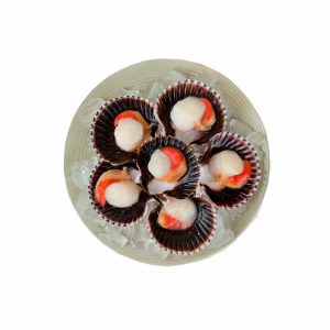Conchas de Abanico Tallo Coral Congelado IQF