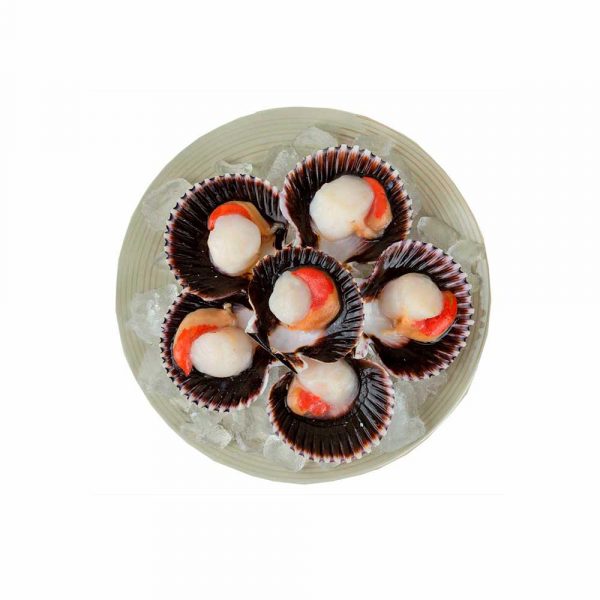 Conchas de Abanico Tallo Coral Congelado IQF